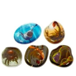 Ergobag Kontur-Klettie-Set Gefährliche Tiere, 5-tlg.